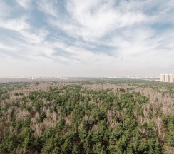 Квартира в Апартаменты на Московская обл., Котельники, Сосновая ул., 2