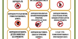 Геленджик: Кемпинг Под соснами