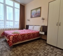 Стандарт одноместный в Репин