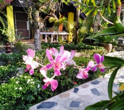 Бунгало в Sanuk Bungalow