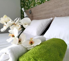 Номер Superior в Оазис Клаб Резорт