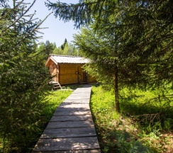 Лесной дом в Мазаная Горка