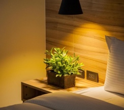 Двухместный номер Standard двуспальная кровать в Rainbow Hotel