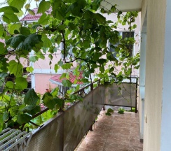 2-комнатный номер стандарт в Диана