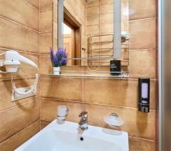 Стандарт бюджетный 2-х местный в Амбассадор