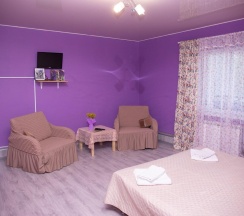 2-местный номер стандарт в Микли-Ольгино