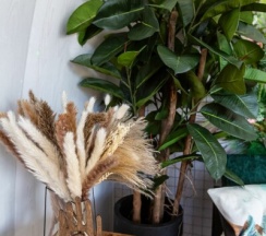 Купол с цветами в Воздух