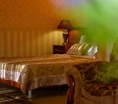 Номер полулюкс с 1 двуспальной кроватью в Эдэран