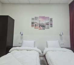 Стандартный номер с 2 односпальными кроватями в Репин