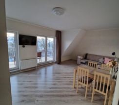 Апартаменты улучшенные Почтовый переулок, 2 (мансарда) в Кусто