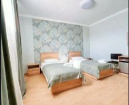 Двухместный номер с 2 односпальными кроватями в Алина