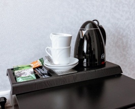 Стандарт двухместный в Нани