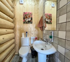 Коттедж премиум в Гридино village