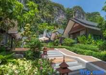 Вилла c 1 комнатой в Отель The Scene Cliff View Villas