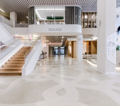 Studio Large 26,3 закатное солнце в Well