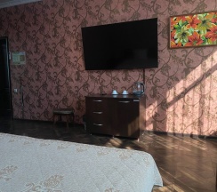 Двухместный номер комфорт в Баден-Баден