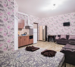 СЕМЕЙНАЯ СТУДИЯ С КУХНЕЙ  в Одиссей