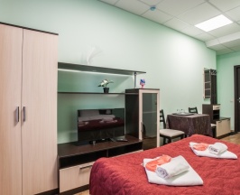 Стандартный двухместный номер с одной кроватью и душем в Волковский