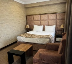 Одноместный номер Deluxe в Baku Hotel