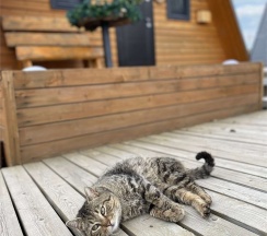 Коттедж на 4-х "Зима" в Пятый сезон