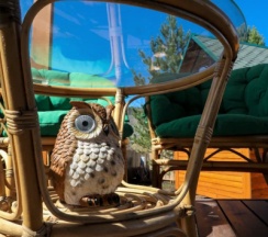 Домик Совы в Лисички-сестрички