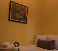 Номер Economy в Ночлег и завтрак (B&B) Tarihi Rum Konağı Antikhan