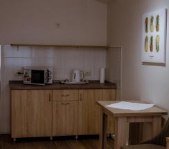 Двухместный Джуниор Сюит с кухонной зоной в Отель на Ваге