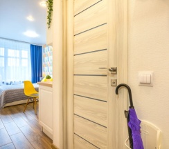 Студия с красивым видом из окна в Апартаменты Welcome Karelia  Riverside в Центре
