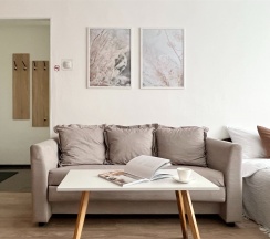 Однокомнатная квартира (Метро Ленинский проспект, 10 минут пешком) в Rauktis apartments