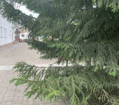 Люкс Superior в Арслан