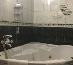 Трехкомнатный номер Люкс (1 корпус) в Надежда