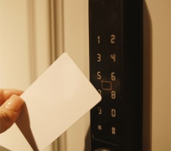 STANDARD+ ROOM в Skazka Lodge