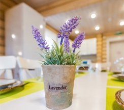 Апартаменты с 3 спальнями в Переславская слобода