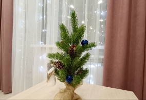 Апартаменты Апартаменты на Толстого10 в Котласе