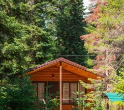 Двухместное шале с красивым видом из окна двуспальная кровать в Forest house resort