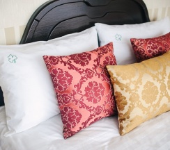 Одноместный номер EXCLUSIVE в O`Hara