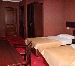 Трехместный номер в Премьер