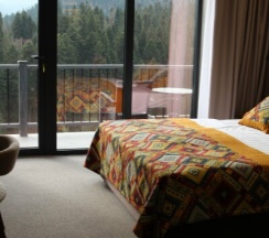 Люкс корпус Sofia в Chalet forrest