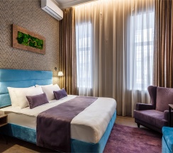 Двухместный номер Comfort с одной кроватью в Mansilion hotel