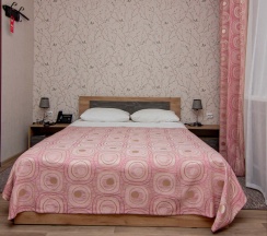 Двухместный эконом              (в корпусах №1 №3) в Лесное поместье