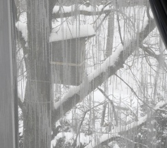 Четырехместный  семейный номер в У пруда