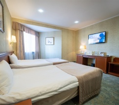 Deluxe Twin в Берёзка