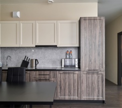 President Suite в Radius Central House by Огни Rent