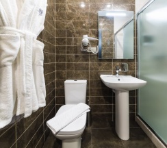 Трёхместный номер Comfort в Panorama city hotel