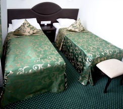 Эконом двухместный в Hotel Ring