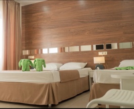 De luxe Triple (2+1) в Green Elephant