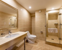 Двухместный номер Deluxe двуспальная кровать в RENION PARK HOTEL