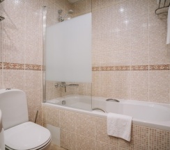 Стандартный двухместный номер с 1 кроватью в Ring Premier Hotel