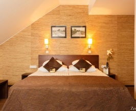 Двухместный номер Standard двуспальная кровать в Kreutzwald Hotel Таллин