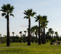 Квартира в Red Apartments